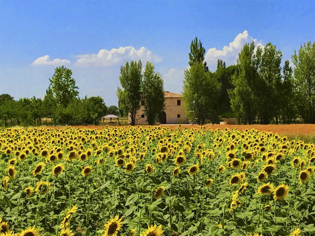 Villa Licinia Foligno Luaran gambar