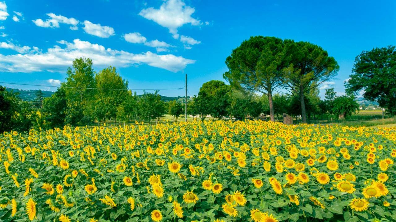 Villa Licinia Foligno Luaran gambar